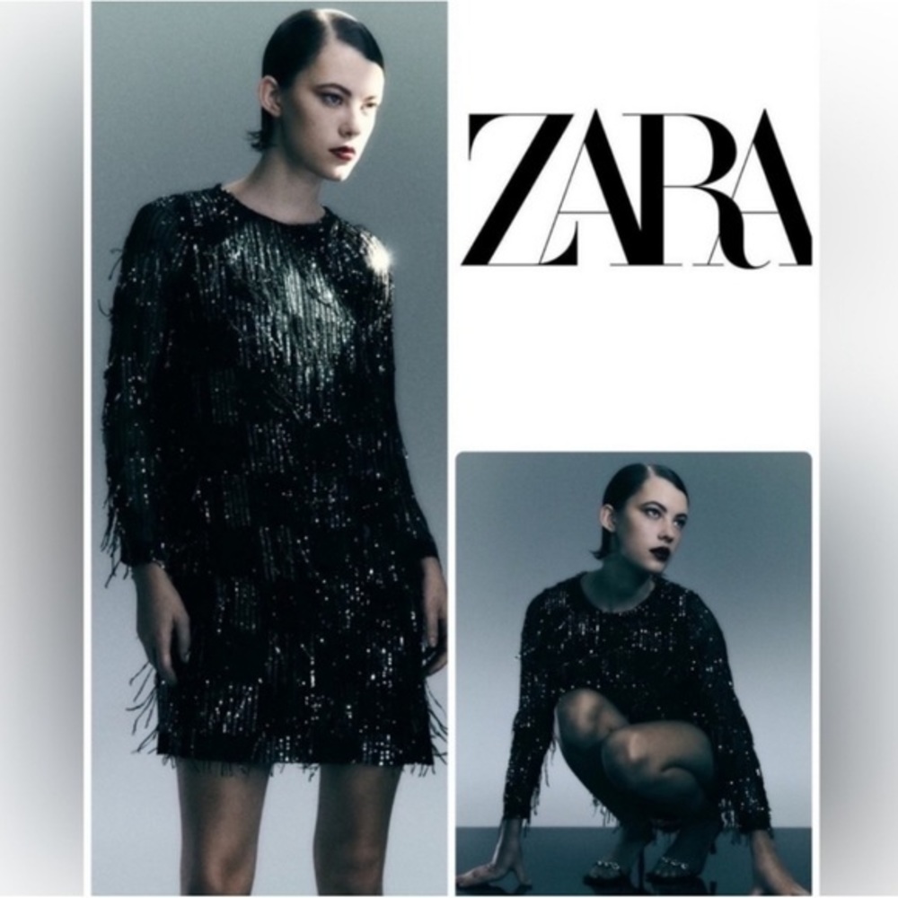 Zara Sequin Fringed Mini Dress 🖤